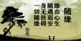 飞_来_峰主播照片