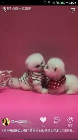 ✨媳婦⭐求🌙帶走✨主播照片