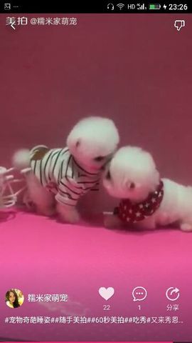 ✨媳婦⭐求🌙帶走✨主播照片