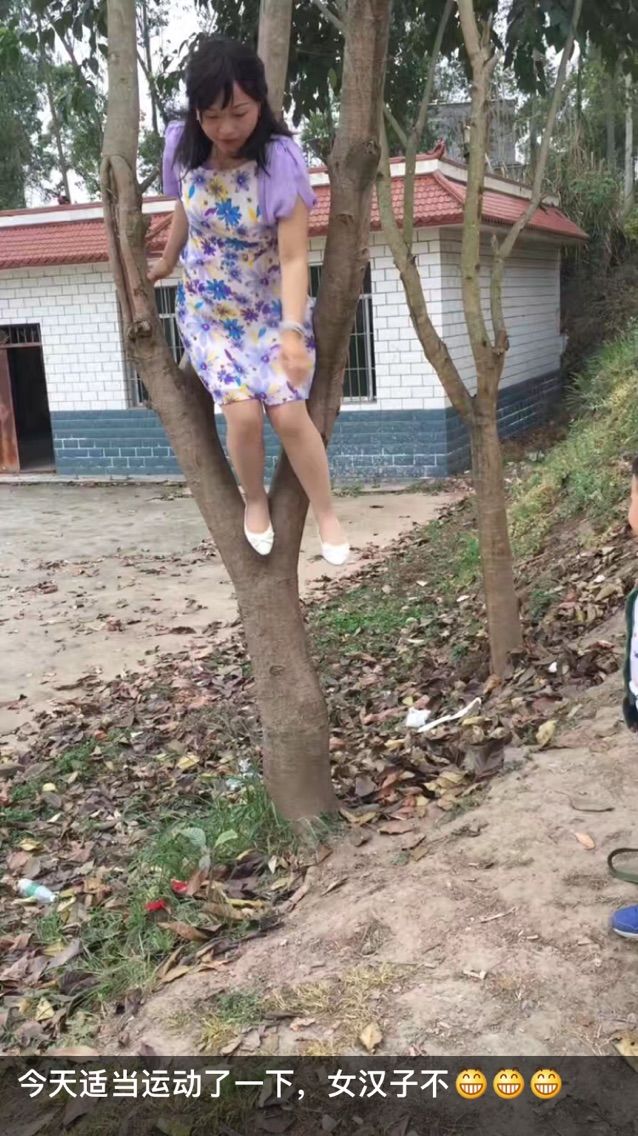 茶茶……的主播照片