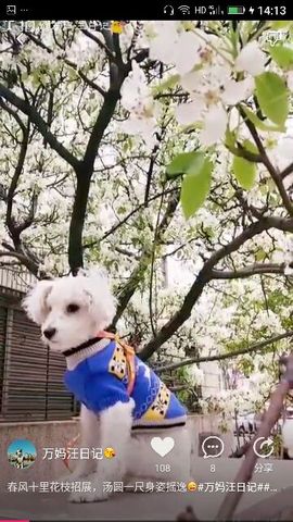 ✨媳婦⭐求🌙帶走✨主播照片