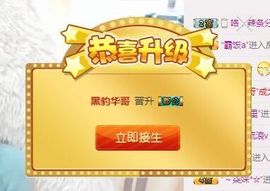 7978萌小夏♥休主播照片