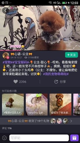 ✨媳婦⭐求🌙帶走✨主播照片