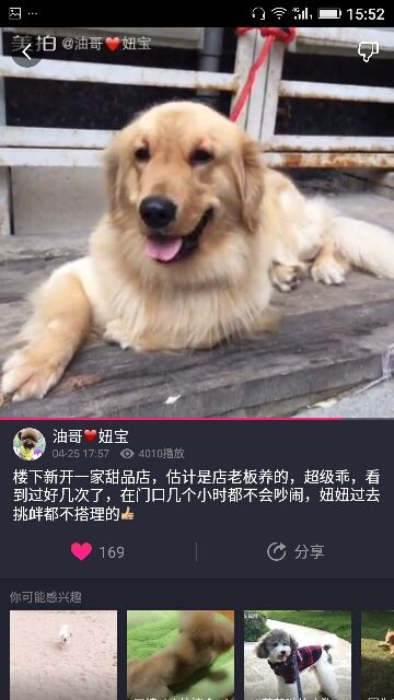 ✨媳婦⭐求🌙帶走✨主播照片