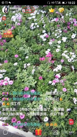✨媳婦⭐求🌙帶走✨主播照片