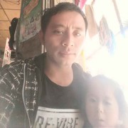 阳光下的向日葵k
