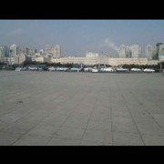 曲哥儿的头像