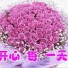 蝴蝶兰81