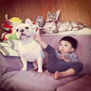 Mr℉萧峰