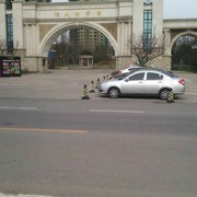yangshu6海报