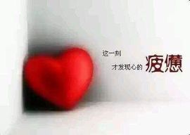 慕💕雪主播照片