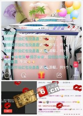 海鸽晚上播主播照片