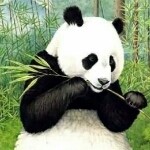 信天信地信自己的头像