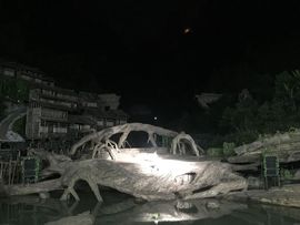 杭漂东北电台主播润主播照片