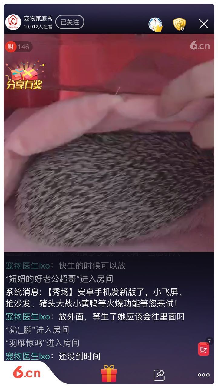 宠物家庭秀的主播照片