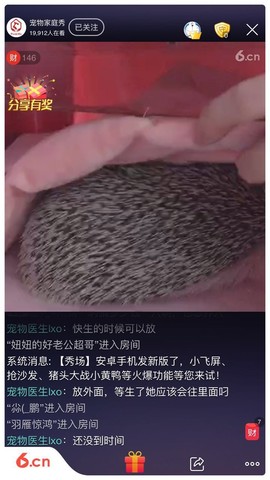 宠物家庭秀主播照片