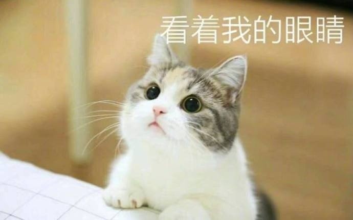習慣有妮的图片