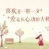你若能懂我的情