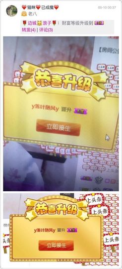 ❤猫咪❤落幕🍂❤主播照片