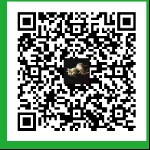小金鱼b*