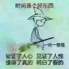 海鸽晚上播主播照片