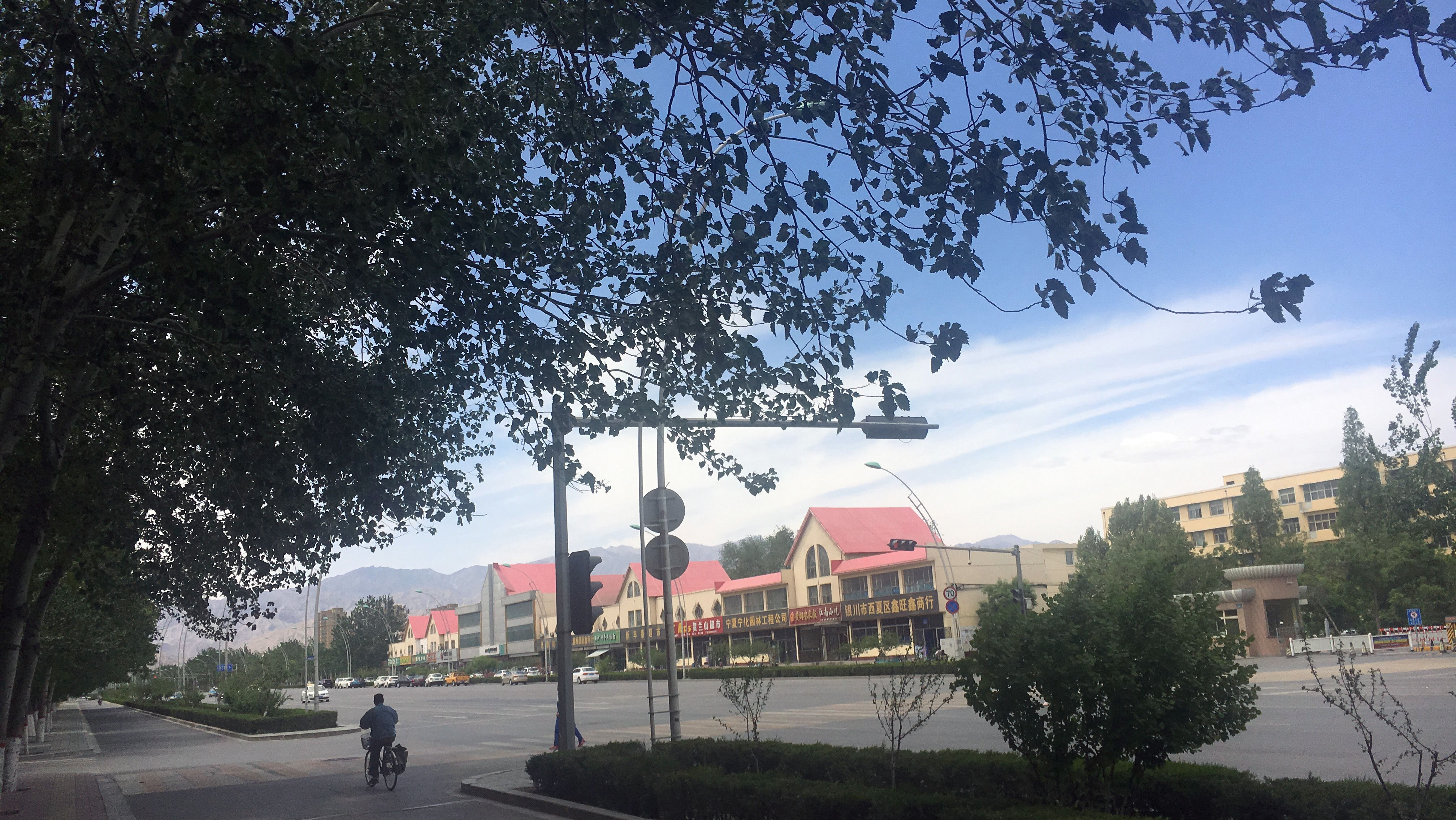 sdb60968的主播照片