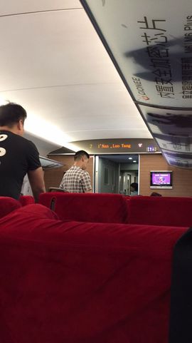 维维（我不是胖子）主播照片