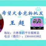 A*☞王超
