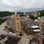 情中菜鸟海报