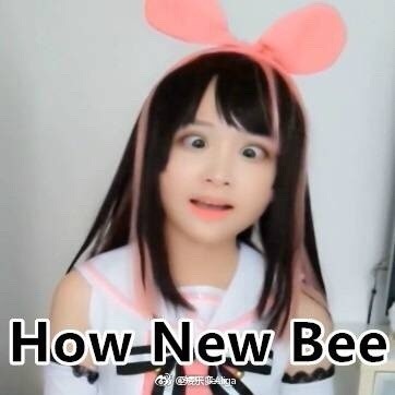 習慣有妮的图片