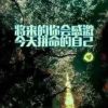 四海飘香u