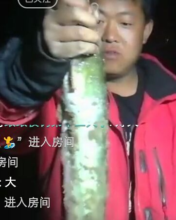 玉皇大帝🌴🌴驾到的主播照片