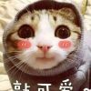 哥只是个传说31