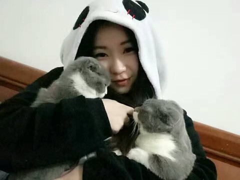 梓绮新人求关注海报