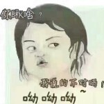 宠辱不惊，去留无意的头像