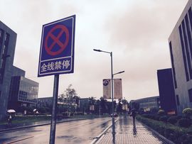 姚姚今天真好看主播照片