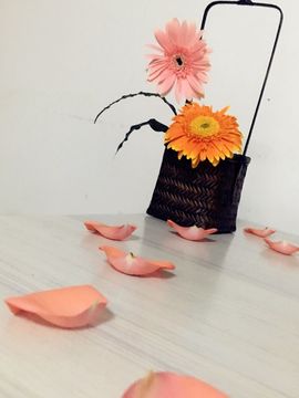 茶茶今晚休明天见主播照片