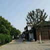 阿宝636