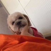 💋方老板、