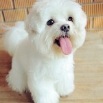 闹心，休息中海报