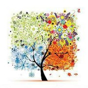 7q海报