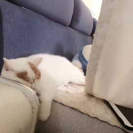一十四州主播照片