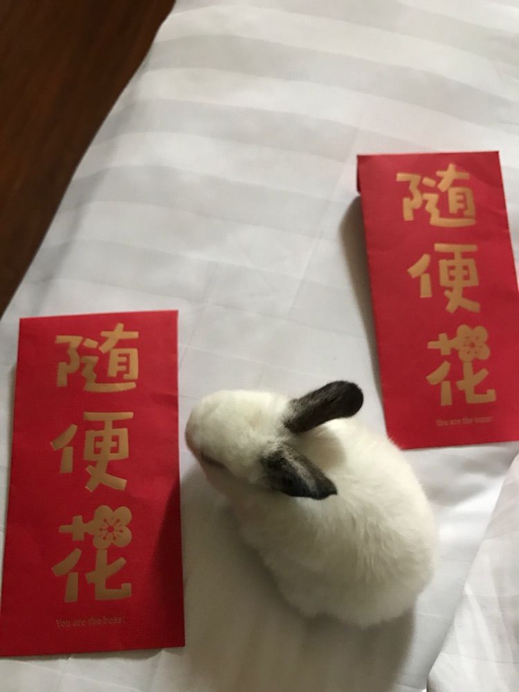 Lo蝶衣Ve主播照片
