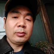 常青树37