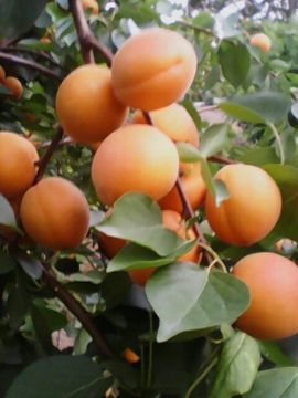 于恒伟518主播照片
