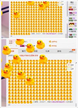 小艺停播主播照片