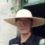 蜂王，养蜂採蜜直播的头像