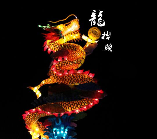 飞哥mA的主播照片