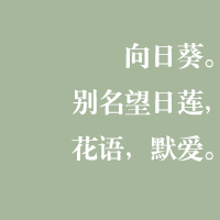 戰狼╈、鱼儿〆主播照片