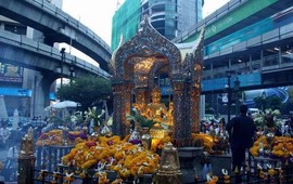 落雨润花❀花落泪主播照片